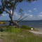 Poverty Point