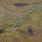 Patterned Fen and low Dunes: Cooloola, Queensland