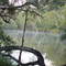 Neebs Waterhole, Cooloola NP
