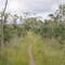 Walking Cooloola Way, Cooloola NP