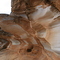 Painted Cliffs - Maria Island