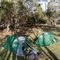 Encampment Cove campsite