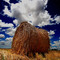 Rolling Hay