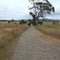 Victorian & NSW Border
