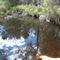 Reflections in creek near Mt Lindesay