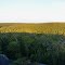 View from a Cave