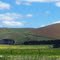 Mount Elephant (Northside) from Chatsworth Rd. Derrinallum, Vic.
