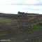 Mount Elephant old Shire Quarry Pit (Still being reinstated). Looking North towards Hamilton Highway.