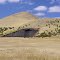 One lonely field bin