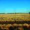 North Queensland Outback Scenery from the Inlander