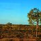 North Queensland Outback Scenery from the Inlander