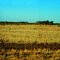 North Queensland Outback Scenery from the Inlander