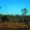 North Queensland Outback Scenery from the Inlander