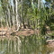 Drysdale River W A