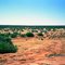 Dalgaranga Sheep Station