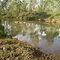 12 Mile Creek, 8km west of Dimbulah, Qld Australia