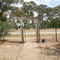 Dunolly
