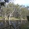Edward River, Deniliquin, NSW, Australia