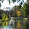 Deniliquin parks & gardens