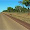 Capenteria Hwy, Northern Territory, Australia - roadkill for the Wedgetail Eagle