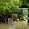 "Horses Graze" Traffic Control Box