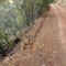 Bungendore Spur Road