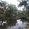 Namoi River
