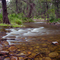 Warrabah slow