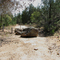 Warrabah 9
