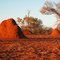 Termite mounds