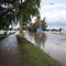 Flooding of Hunter River at Singleton, 10 June 2007