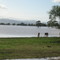 June 07 Floods from Whittingham
