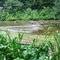 Conewago Creek  York County PA