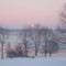 Morning in February