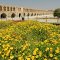 esfahan.33pol.hamidreza