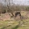 Deardorff Mill Ruins