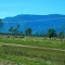 Scenery West of Townsville