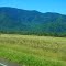 Scenery West of Townsville