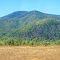Hills Behind Townsville