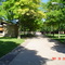 SUNY Brockport Mall