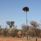 "To find us, leave Stuart Highway, when you see Rhino."