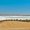 Lake Dumbleyung