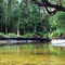 Myora Springs North Stradbroke Island
