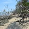 Morwong Beach