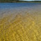 The clear water of Brown Lake