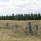 Pines near Meredith