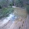 Muddy track
