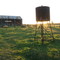 On The Farm 1