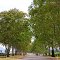 Wyndham Estates, Hunter Valley, NSW, Australia