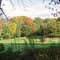 Fall